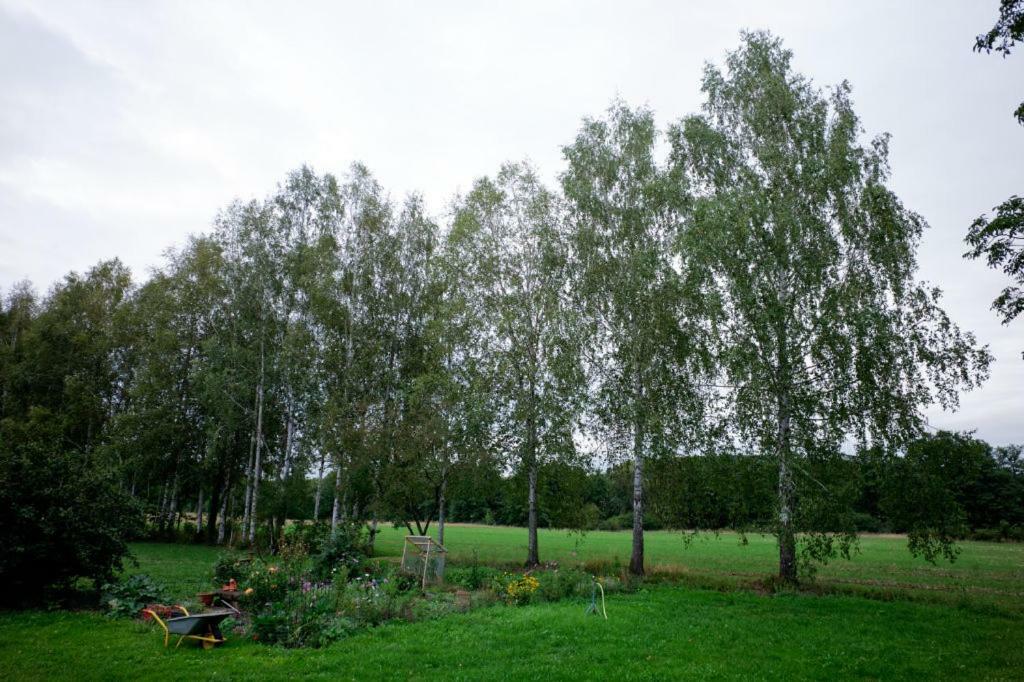 Obere Mühle - Scheunenwohnung mitten im Grünen Baunach Exterior foto